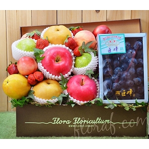 FR12 生果禮盒 日本巨峰提子禮盒裝 新鮮水果禮盒 